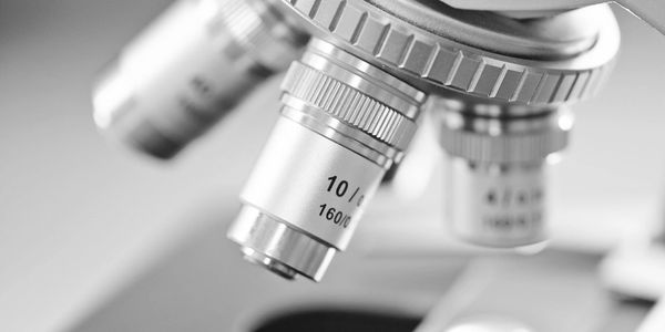 Close-up of a microscope's objective lenses in grayscale.