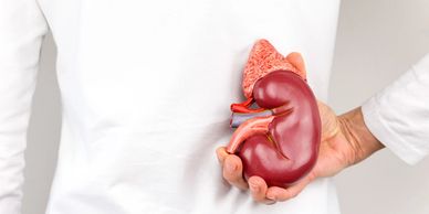 Kidney location 
Kidney care 
Kidney doctor Newport Beach 