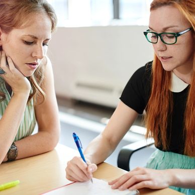 WCI Education Consultants