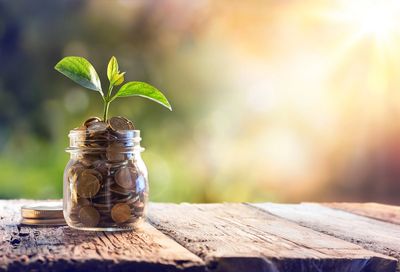 A jar of pennies with a plant growing out of it california counseling psychotherapy telehealth