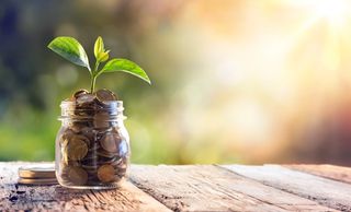 Pennies in a glass jar with a sprig of green leaves coming out of it