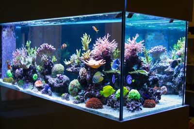 Aquarium power supply