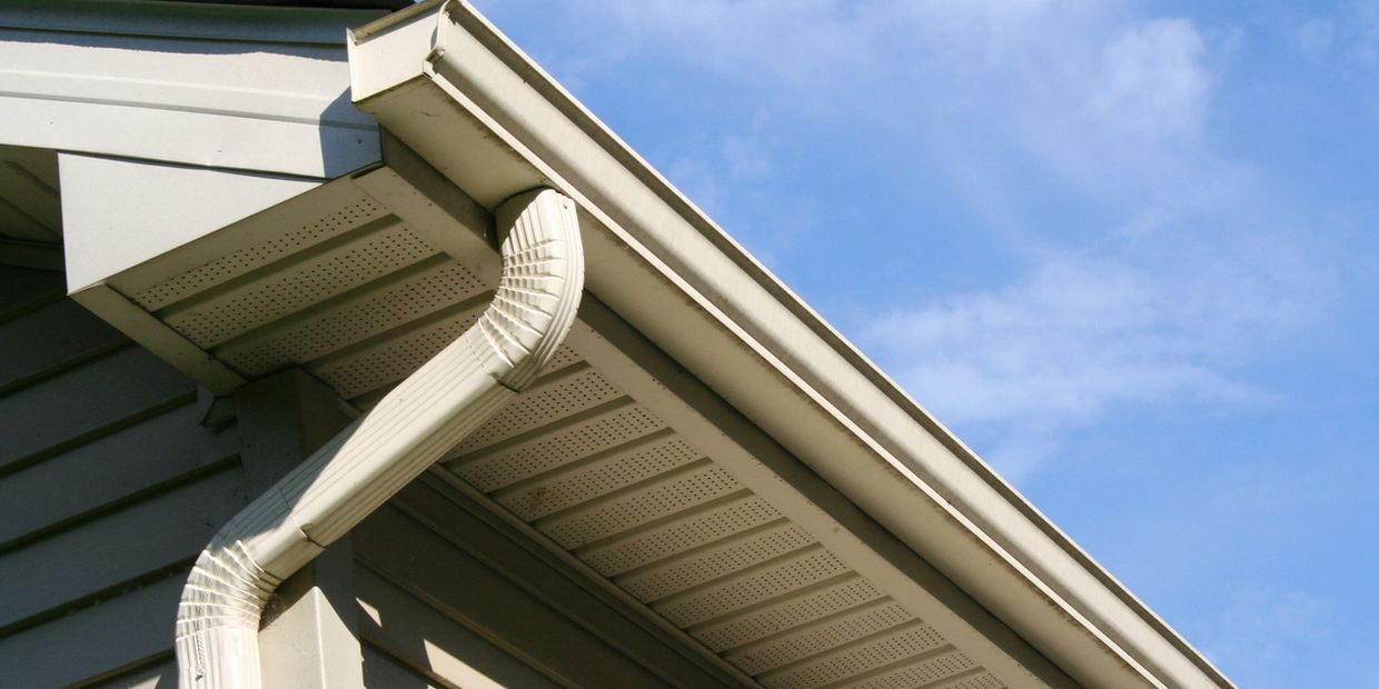 Roof of building