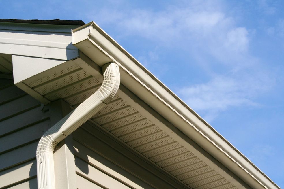 Skylights and Seamless Gutters