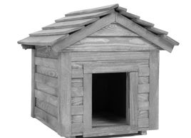 image6