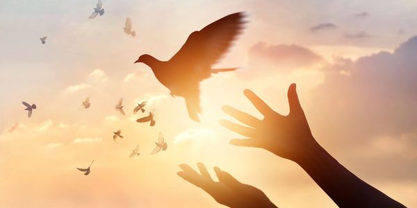 doves being released from persons hand with sun peering from behind a cloud in the background