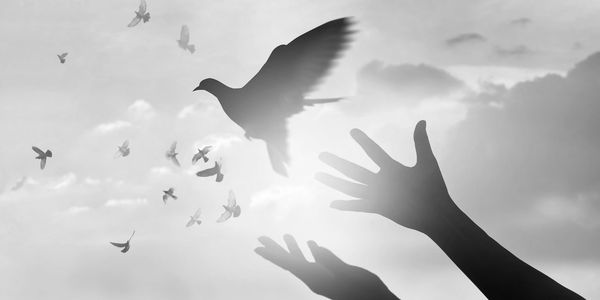 Hands releasing birds into the sky.