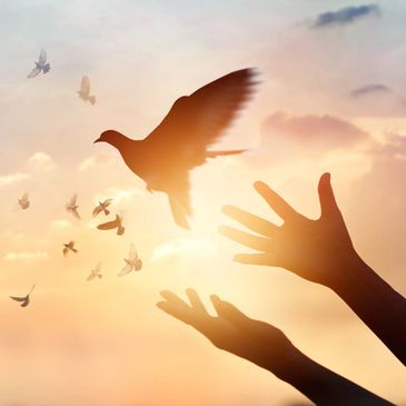 Human hands releasing doves with sunrise