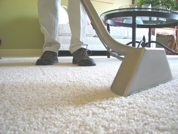 Carpet Steam Cleaning