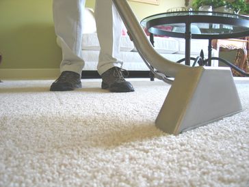A professional cleaning a carpet