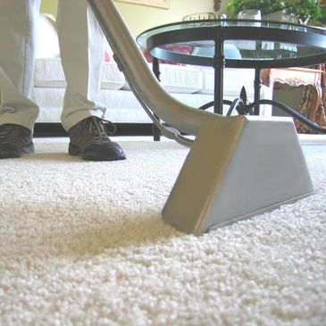 Carpet Clean Professional Carpet Cleaning In Dorset