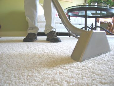 Person vacuuming a carpet.