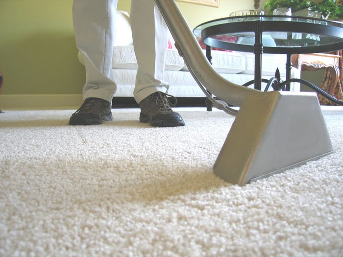 Carpet Cleaning Tiger Carpet Care