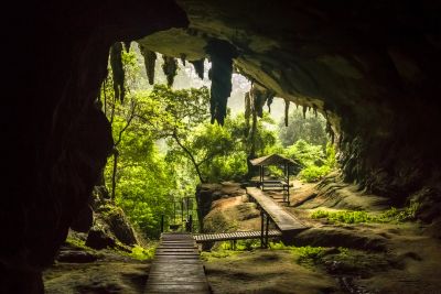 View from cave entrance overlooking a lush forest and wooden path.