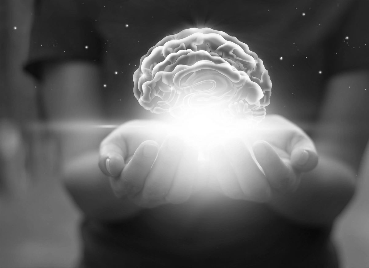 Hands holding a glowing, stylized brain symbolizing knowledge or intelligence.