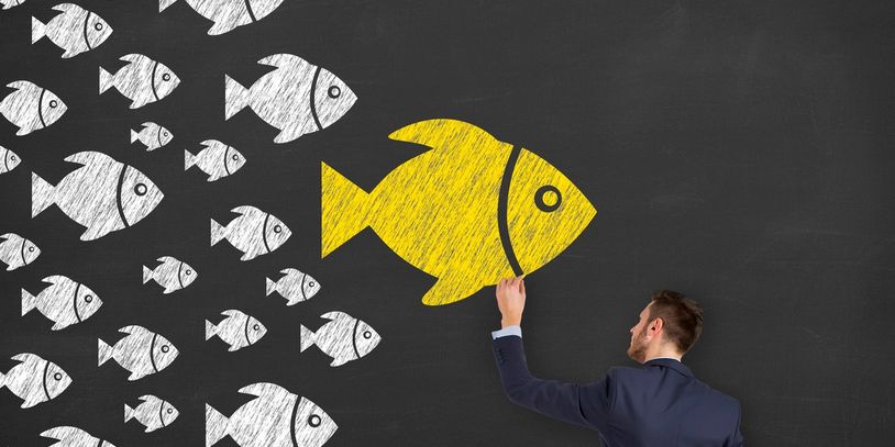 Man drawing a large yellow fish among smaller white fish on a chalkboard.