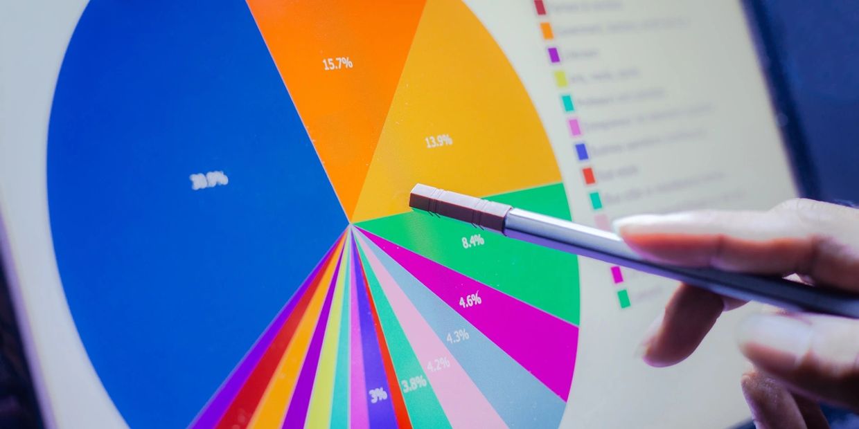 A pie chart showing percentages