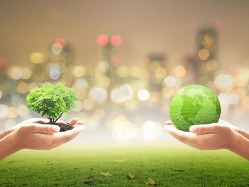 Hands holding a small tree and a green globe symbolizing environmental care.