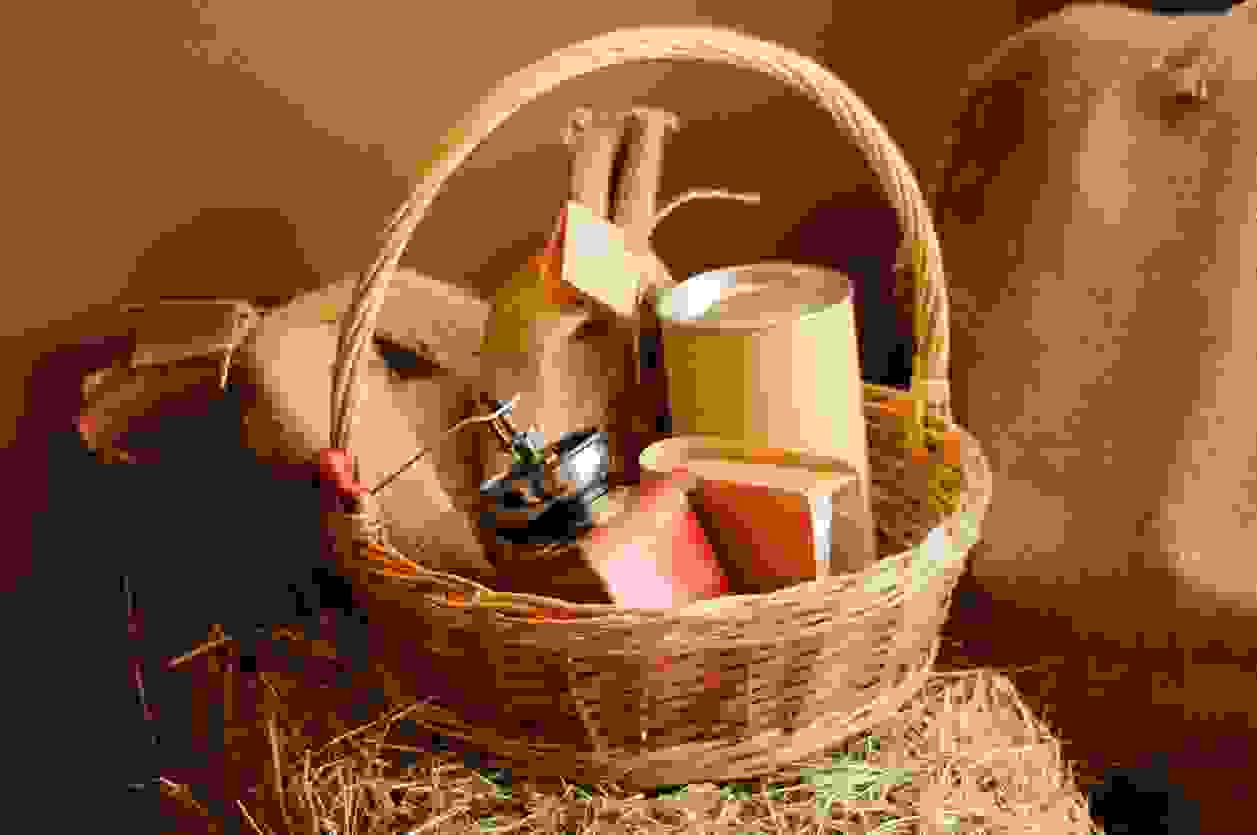 image45