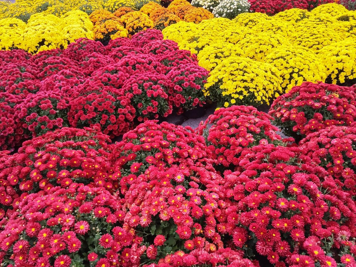garden-club-of-greater-milwaukee