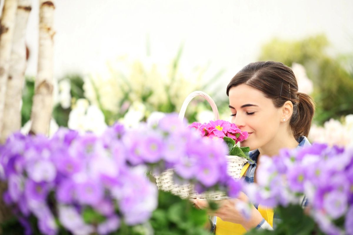 You Pick Flower Experience Tickets