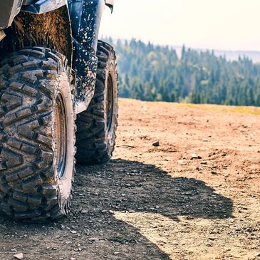 ATV in forest