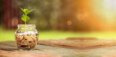 Plant growing from jar of coins symbolizing growth.