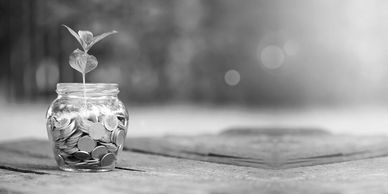 Plant growing from coins in a jar.