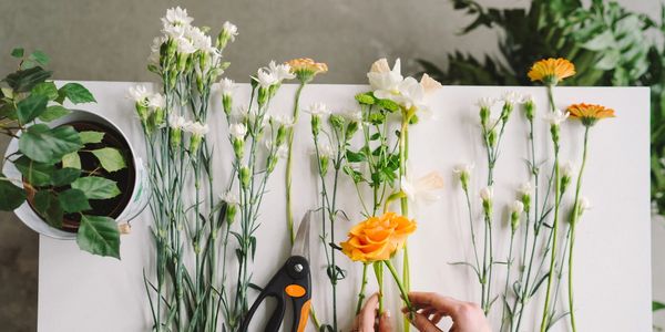 Fresh Cut Flowers 