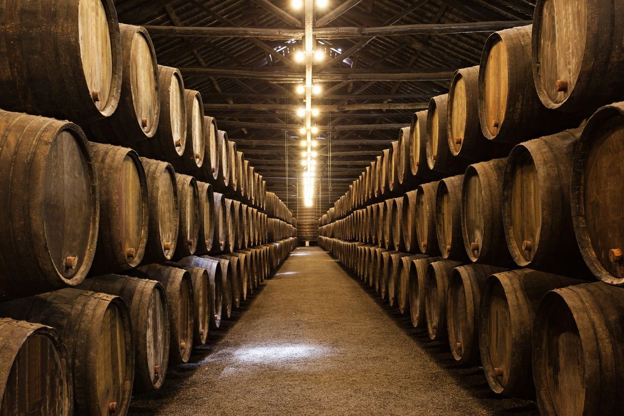 Rows of wooden barrels stored in a dimly lit cellar.