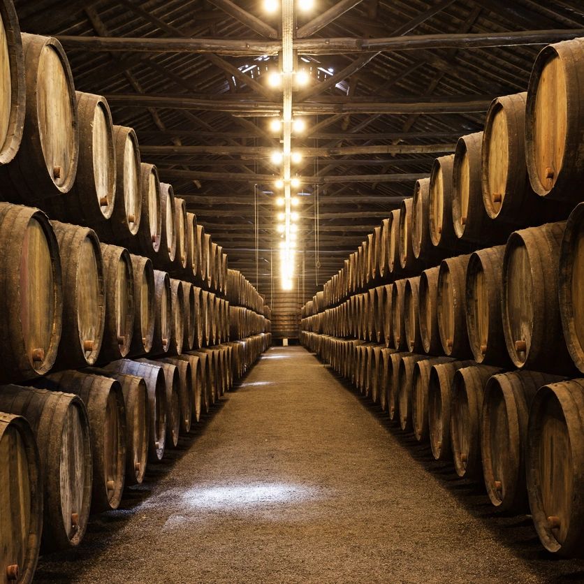 A wine cellar