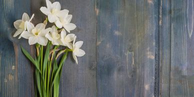 A bouquet of Narcissus flowers 