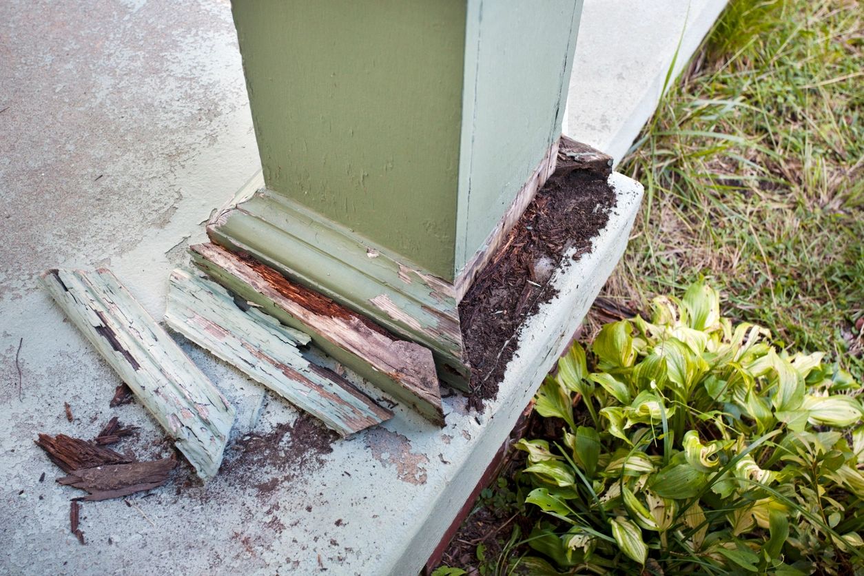 termite damage on a home