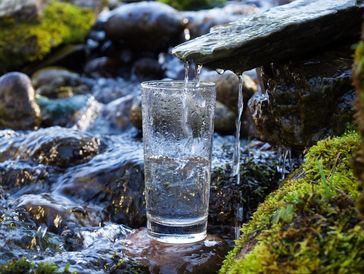 Radiant Life Water Filters

Use the code LOCAL to save 10%