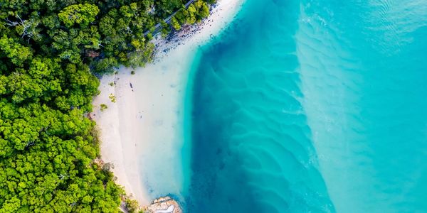 Aerial view of a lush green forest meeting a clear turquoise beach.