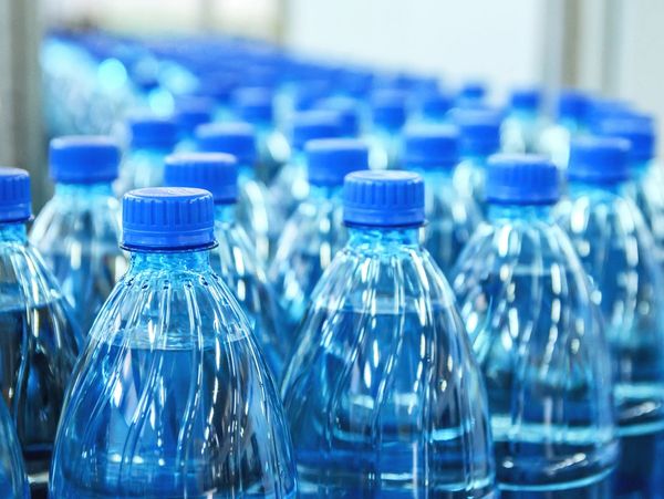Rows of blue-capped plastic water bottles tightly packed together.