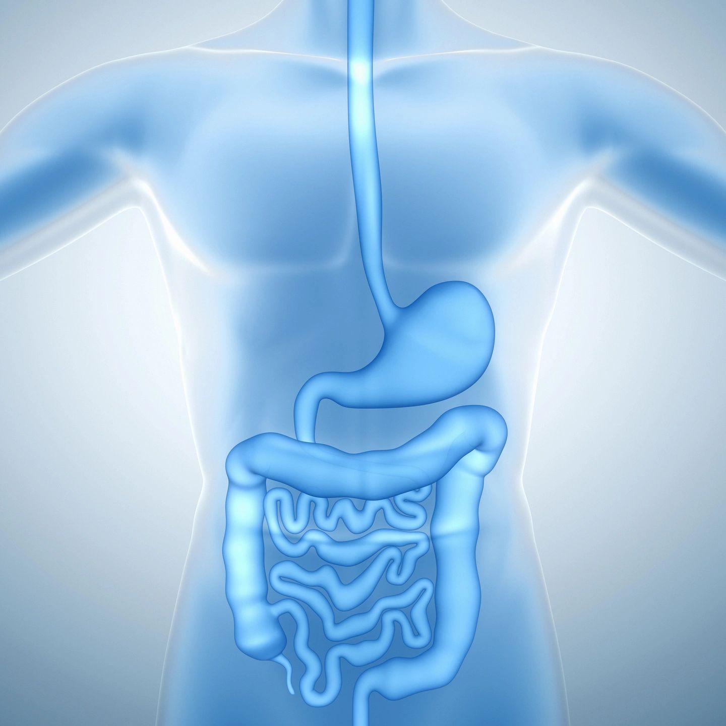 Digestive System Disorders: Peptic Ulcers, Diarrhoea, Jaundice