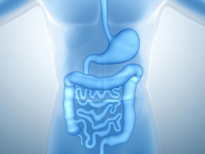 Homeopathy Treatment for Digestive & Liver Disorders at Kushal Online