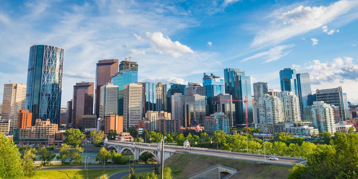 Calgary Tree Care: Your Essential Guide to Calgary Condo Tree Management and Why It Matters 🌳🏢