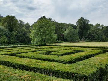 hedge maze with trees in the distance