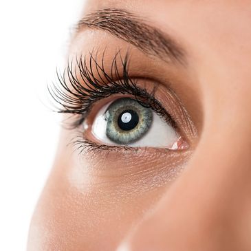 Cleveland Blepharoplasty
Julian D Perry MD
Catherine J Hwang MD
eyelid
oculoplastics
plastic surgery