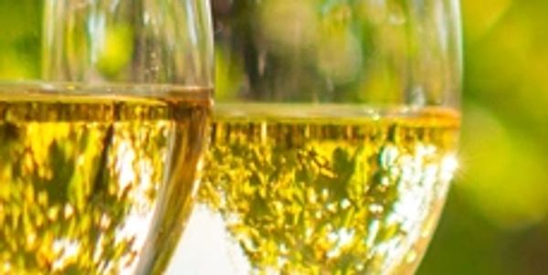 Two glasses filled with sparkling white wine reflecting sunlight.