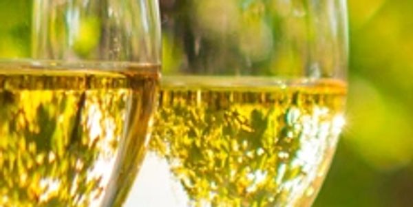 Two glasses filled with sparkling white wine reflecting sunlight.