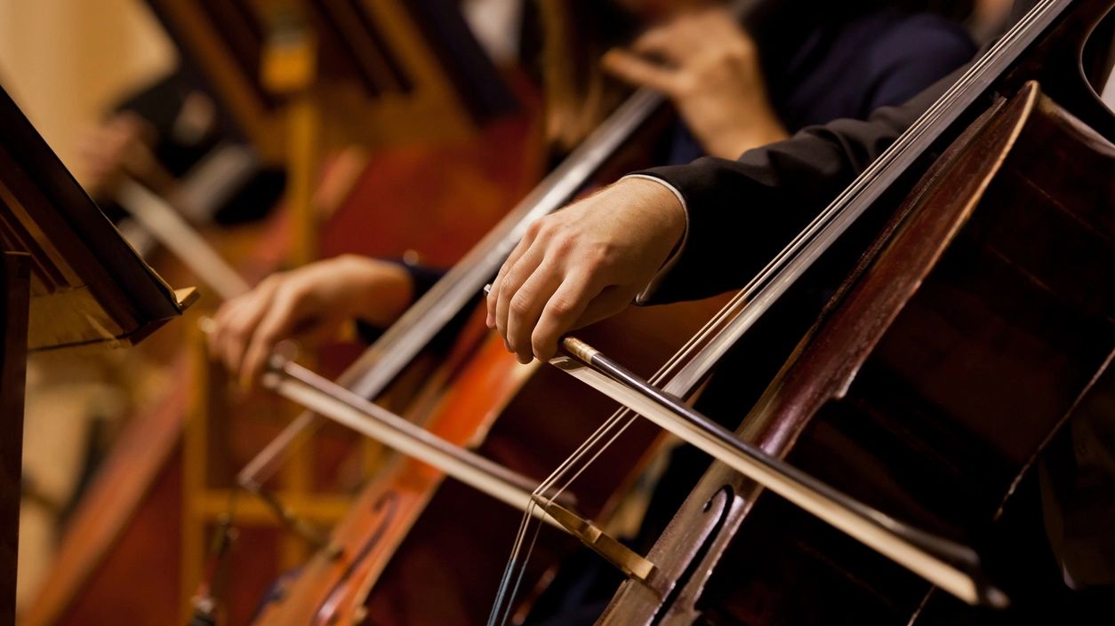 The cello section in action!