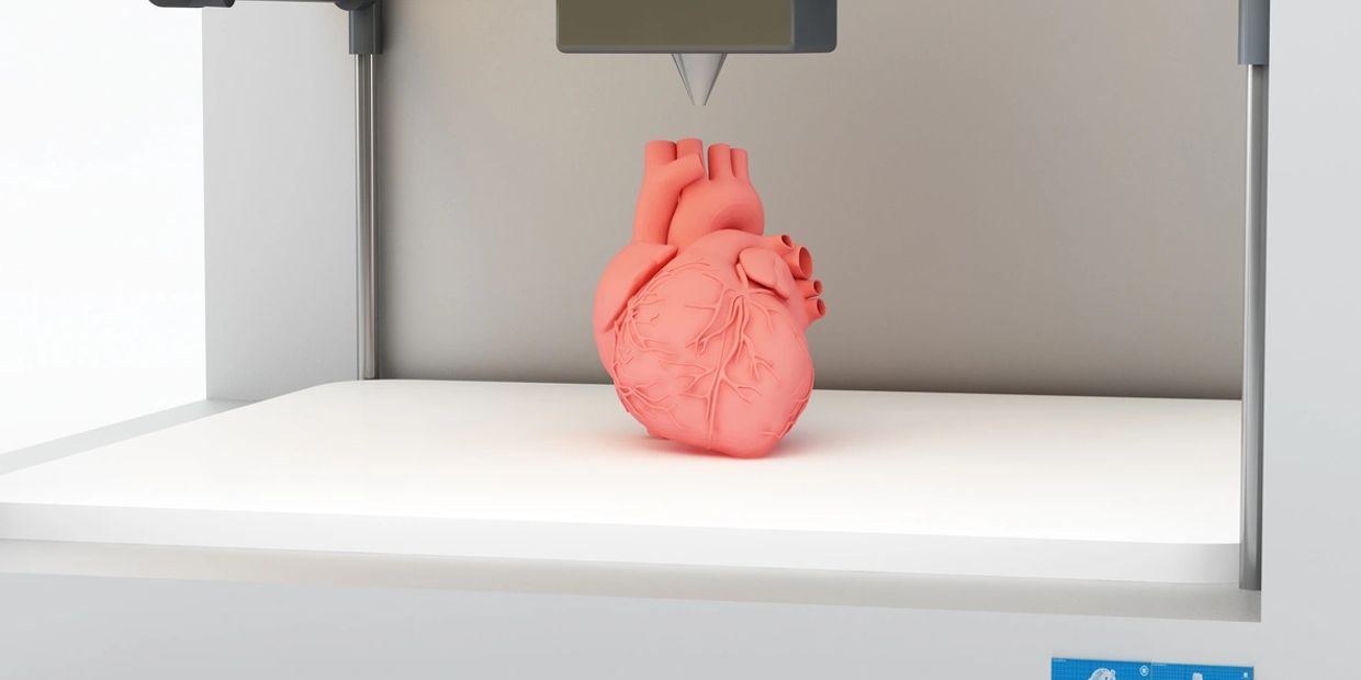3D-printed anatomical human heart model inside a 3D printer.
