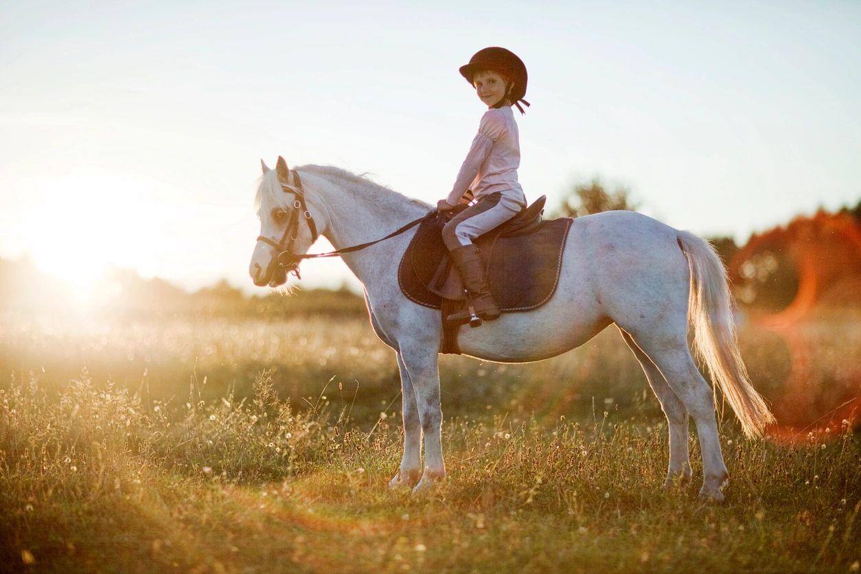 Ride a horse перевод на русский. Девочка на лошади Сток. He is riding a Horse. Аватарка вперёд за мечтой девушка на лошади. She is riding a Horse.