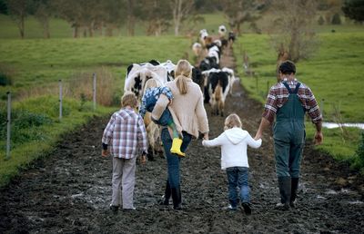 Traditional family farm