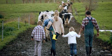 Farm Planning,Tax Planning, IRS, Wisconsin Department of Revenue, Mayer Law, LLC, David Mayer
