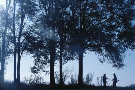 Two people walking under tall trees with blue sky background.