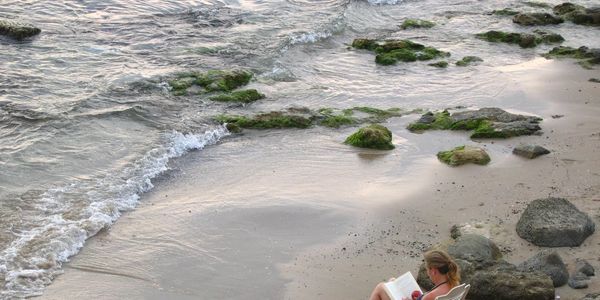 A woman reads a book by the rocky shoreline with gentle waves.